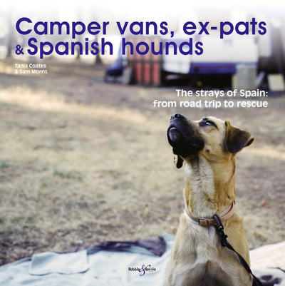Camper Vans, Ex-Pats and Spanish Hounds: The Strays of Spain: From Road Trip to Rescue