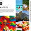 The Rough Guide to the Caribbean (Travel Guide eBook) (Rough Guides Main Series)