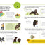 Visual Guide to Grammar and Punctuation by DK