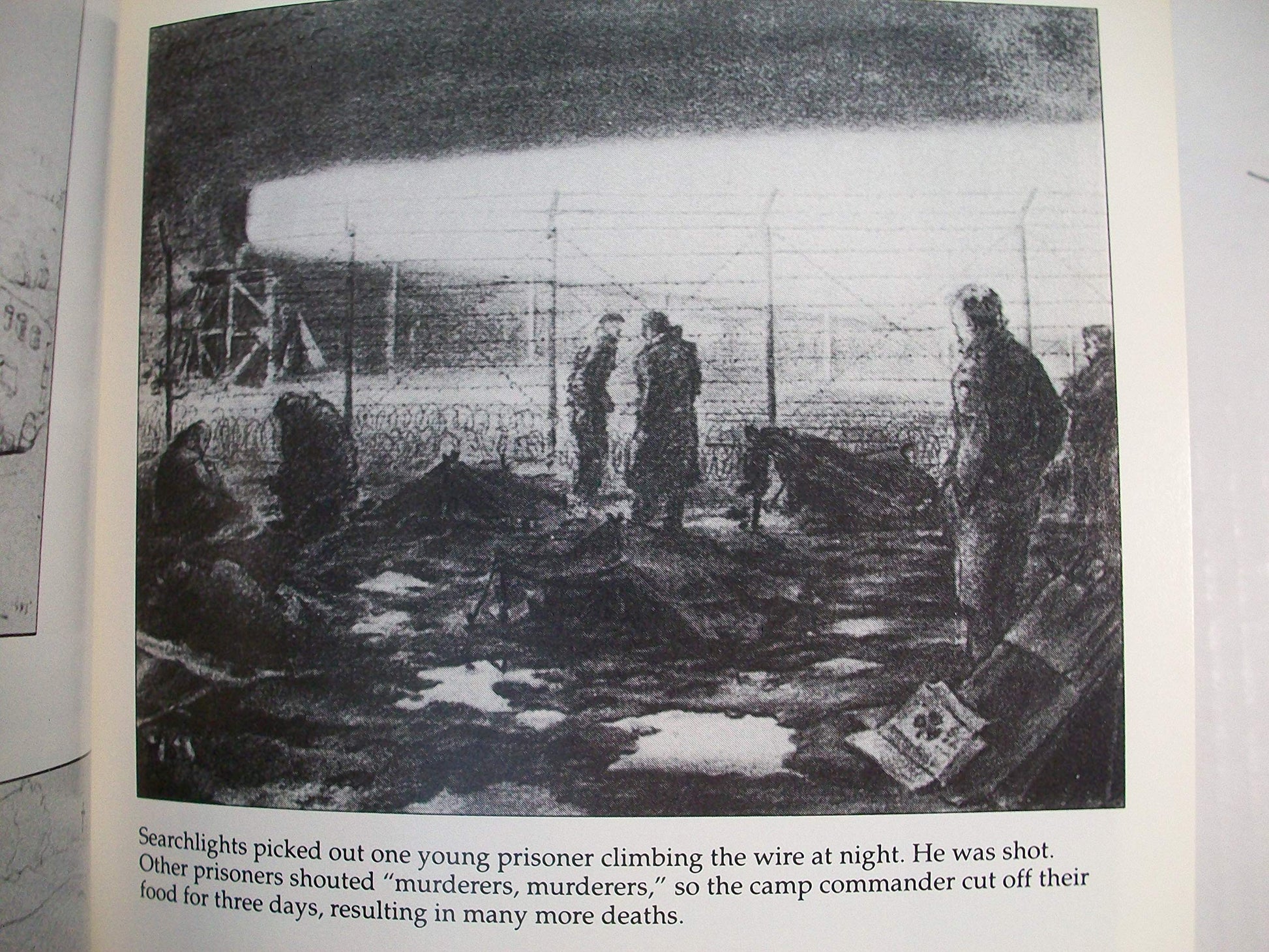 OTHER LOSSES: The Shocking Truth Behind the Mass Deaths of Disarmed German Soldiers and Civilians Under General Eisenhower's Command