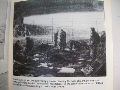 OTHER LOSSES: The Shocking Truth Behind the Mass Deaths of Disarmed German Soldiers and Civilians Under General Eisenhower's Command