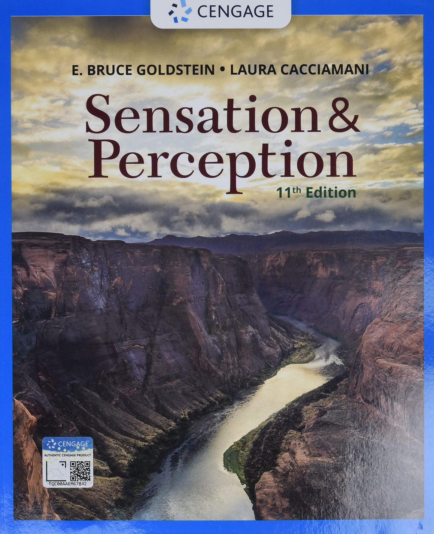 Sensation and Perception (MindTap Course List)