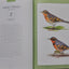 Bird Songs: 250 North American Birds in Song