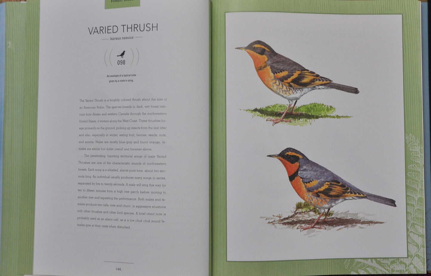 Bird Songs: 250 North American Birds in Song
