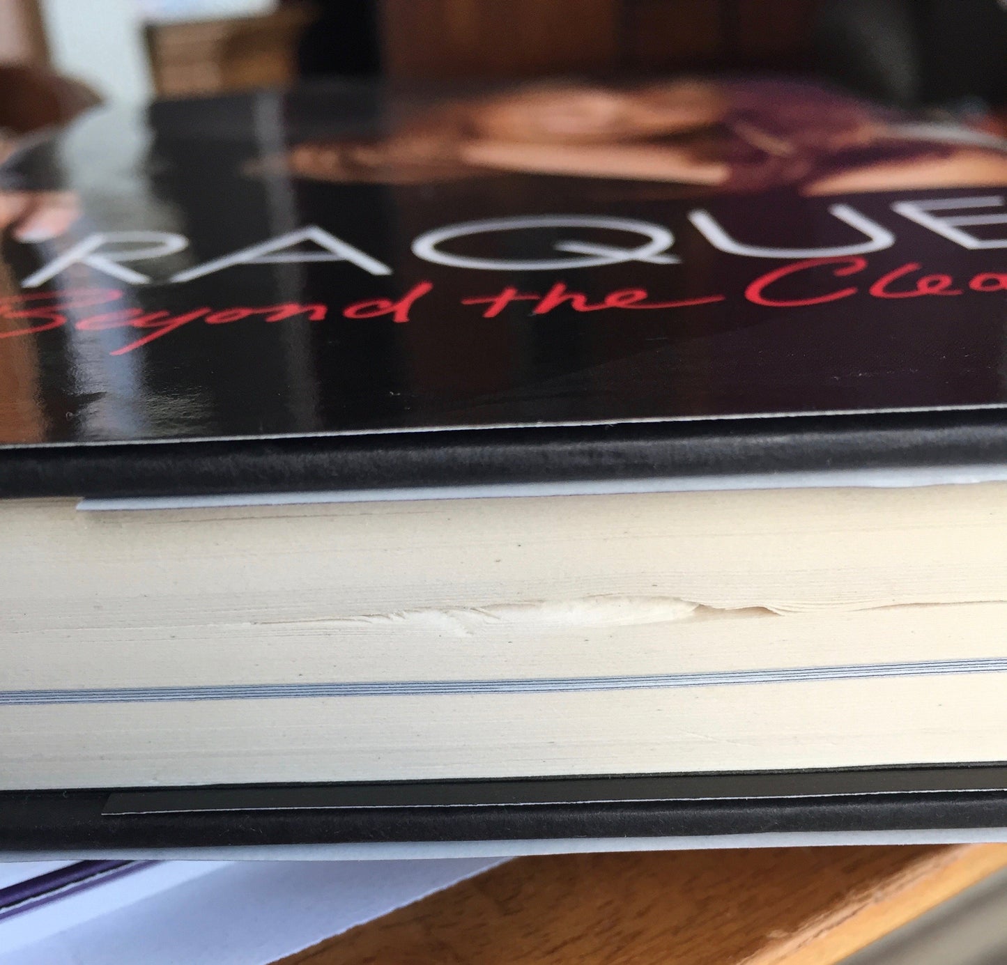 Raquel: Beyond the Cleavage