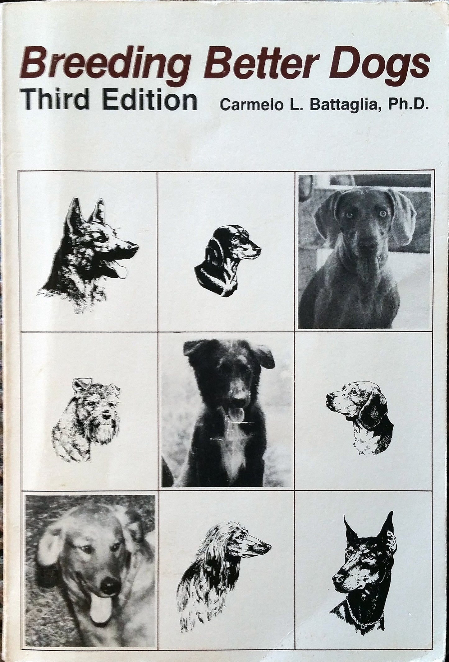 Breeding Better Dogs by Battaglia, Carmelo L.
