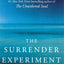 The Surrender Experiment: My Journey Into Life's Perfection