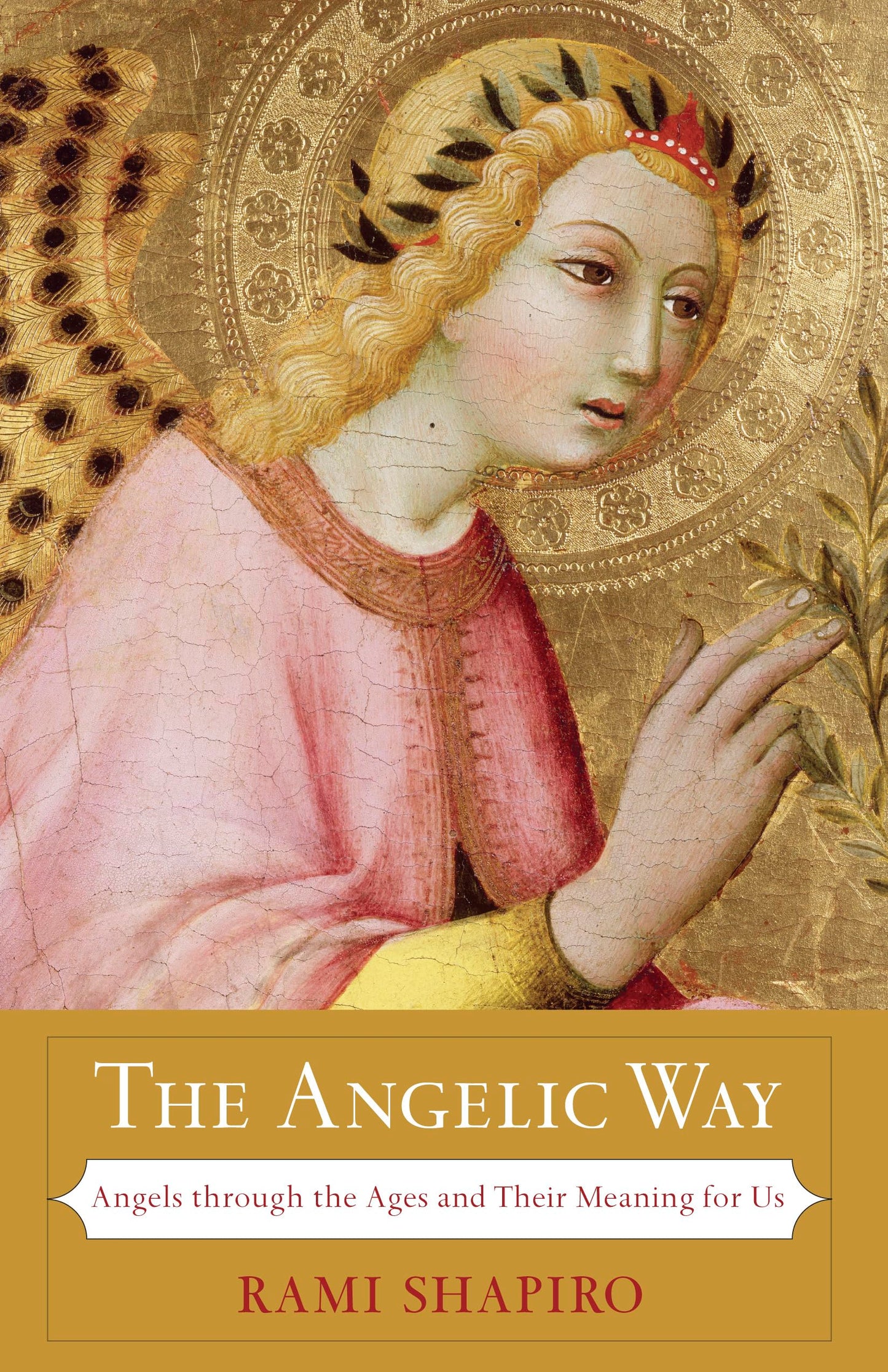 The Angelic Way: Angels through the Ages and Their Meaning for Us