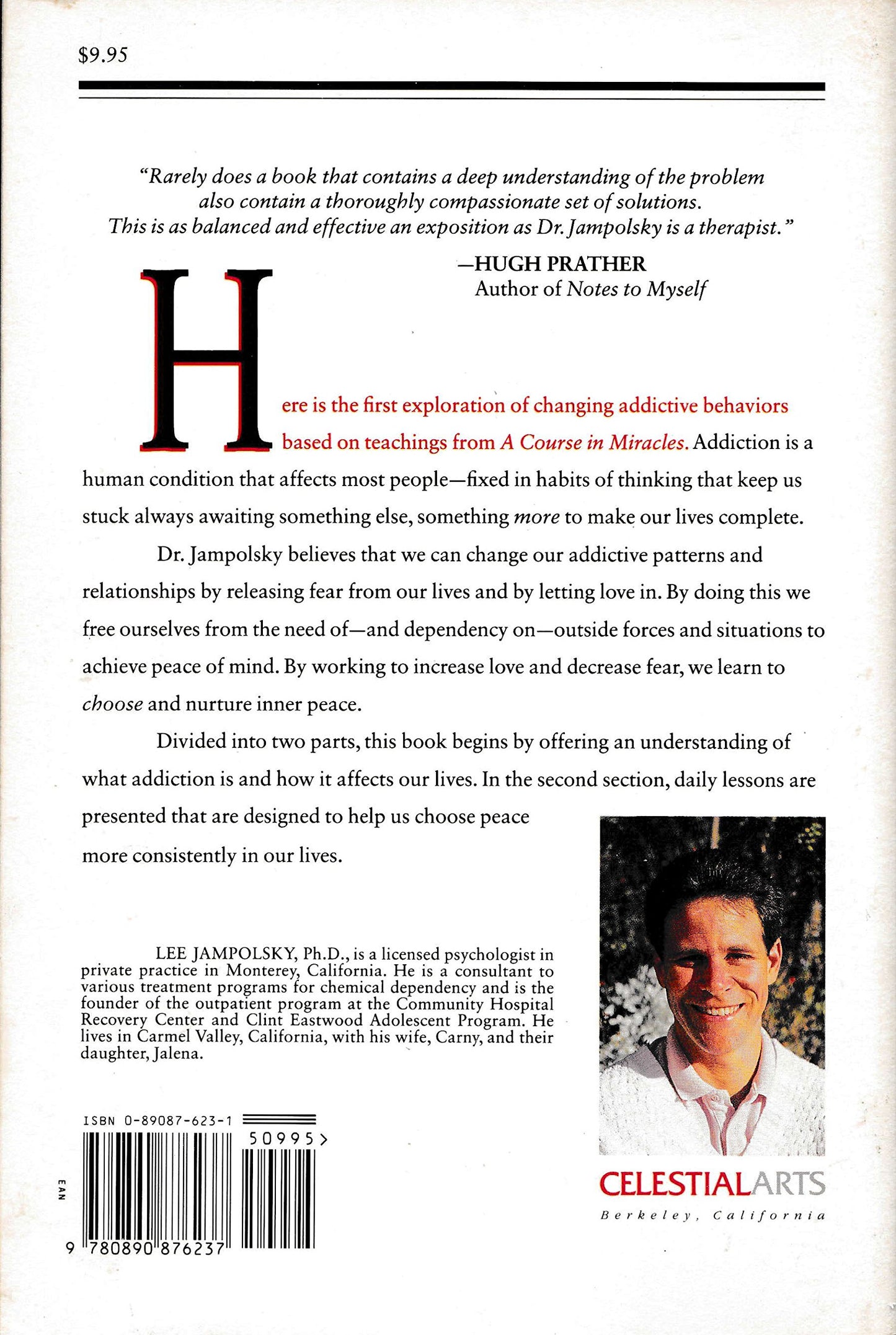 Healing the Addictive Mind: Freeing Yourself from Addictive Patterns and Relationships