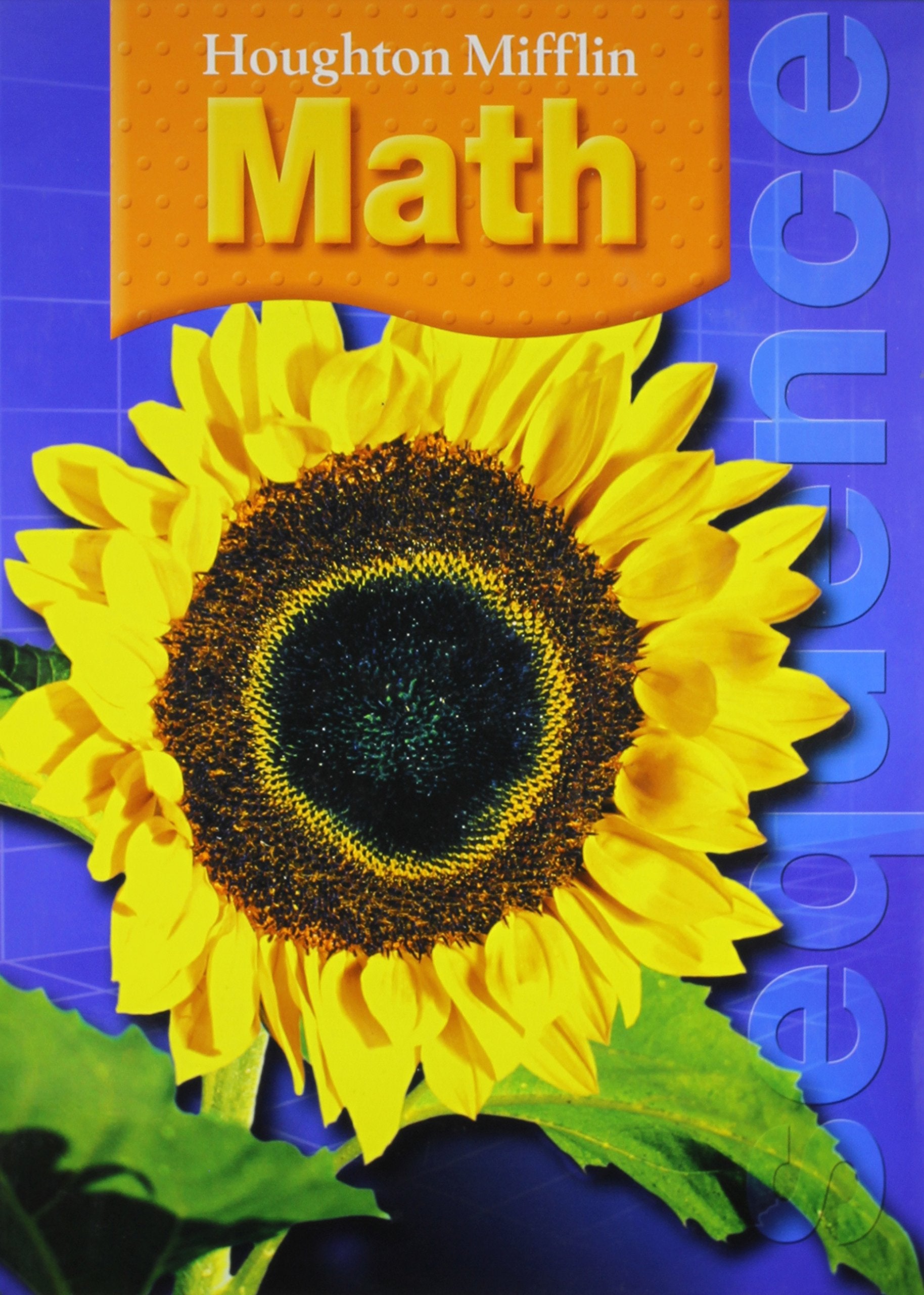 Houghton Mifflin Math, Level 5 Student Textbook