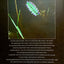 Nils Udo: Art In Nature