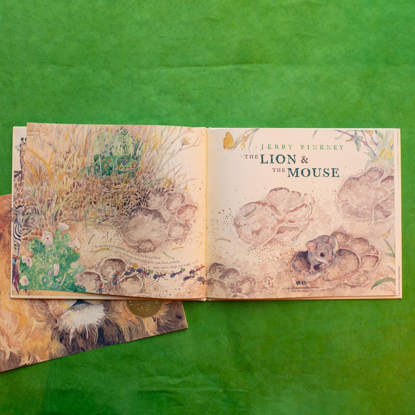The Lion & the Mouse (Caldecott Medal Winner) by Pinkney, Je