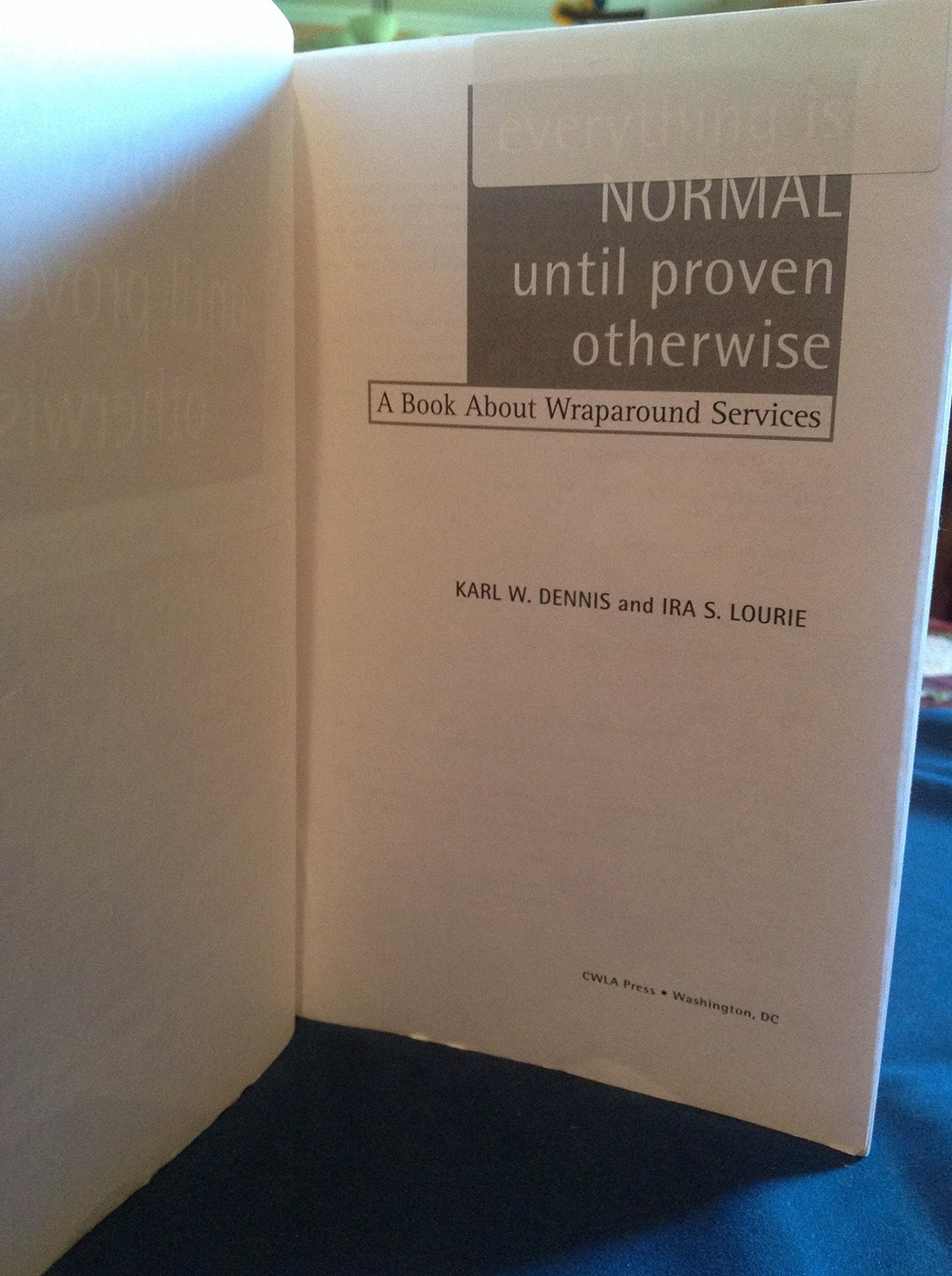 Everything Is Normal Until Proven Otherwise: A Book About Wraparound Services
