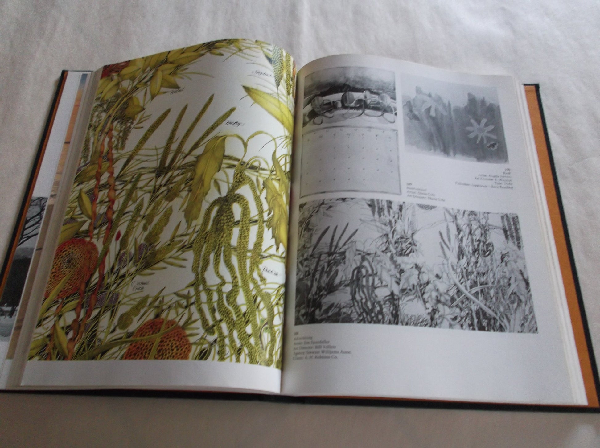 ILLUSTRATORS XX: The Twentieth Annual of American Illustration.
