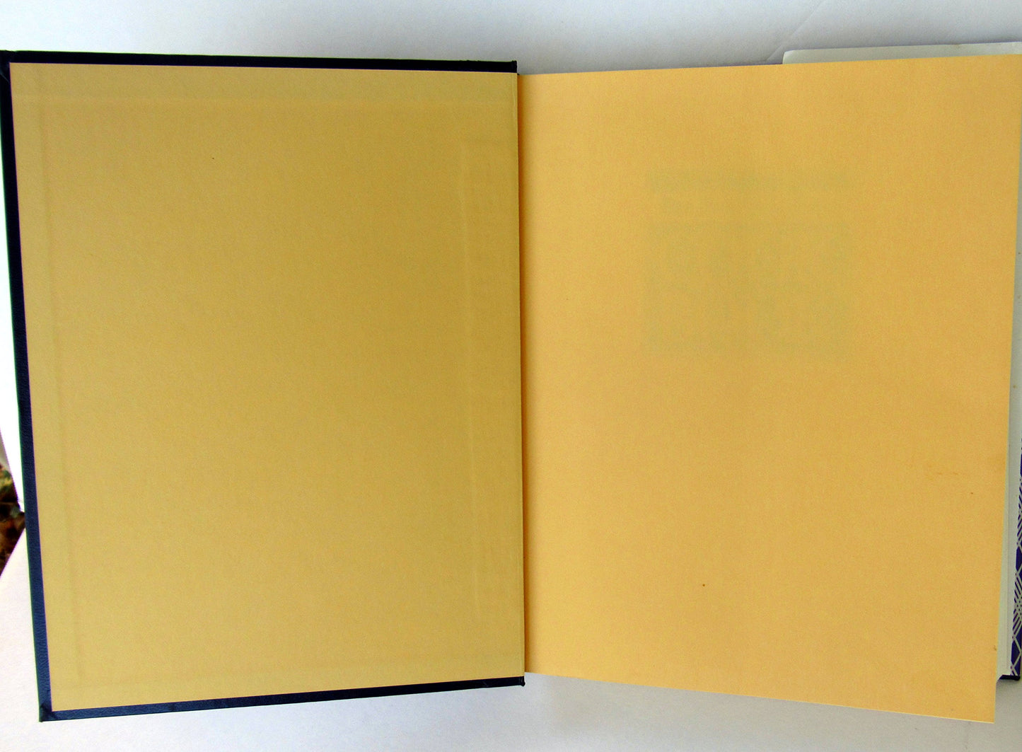 The New York Times Cook Book