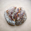 Tartine No. 3: Ancient Modern Classic Whole