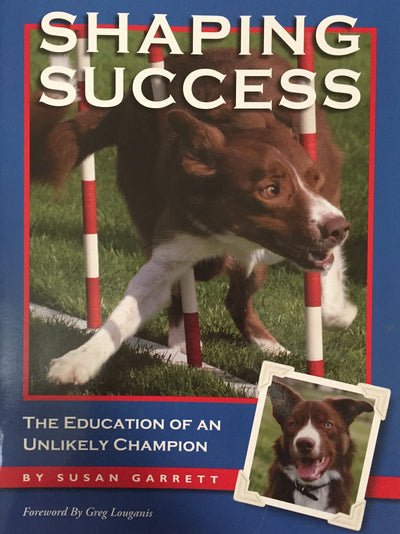 Shaping Success