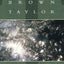 The Luminous Web: Essays on Science and Religion