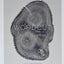 Woodcut (The artwork of Bryan Nash Gill)