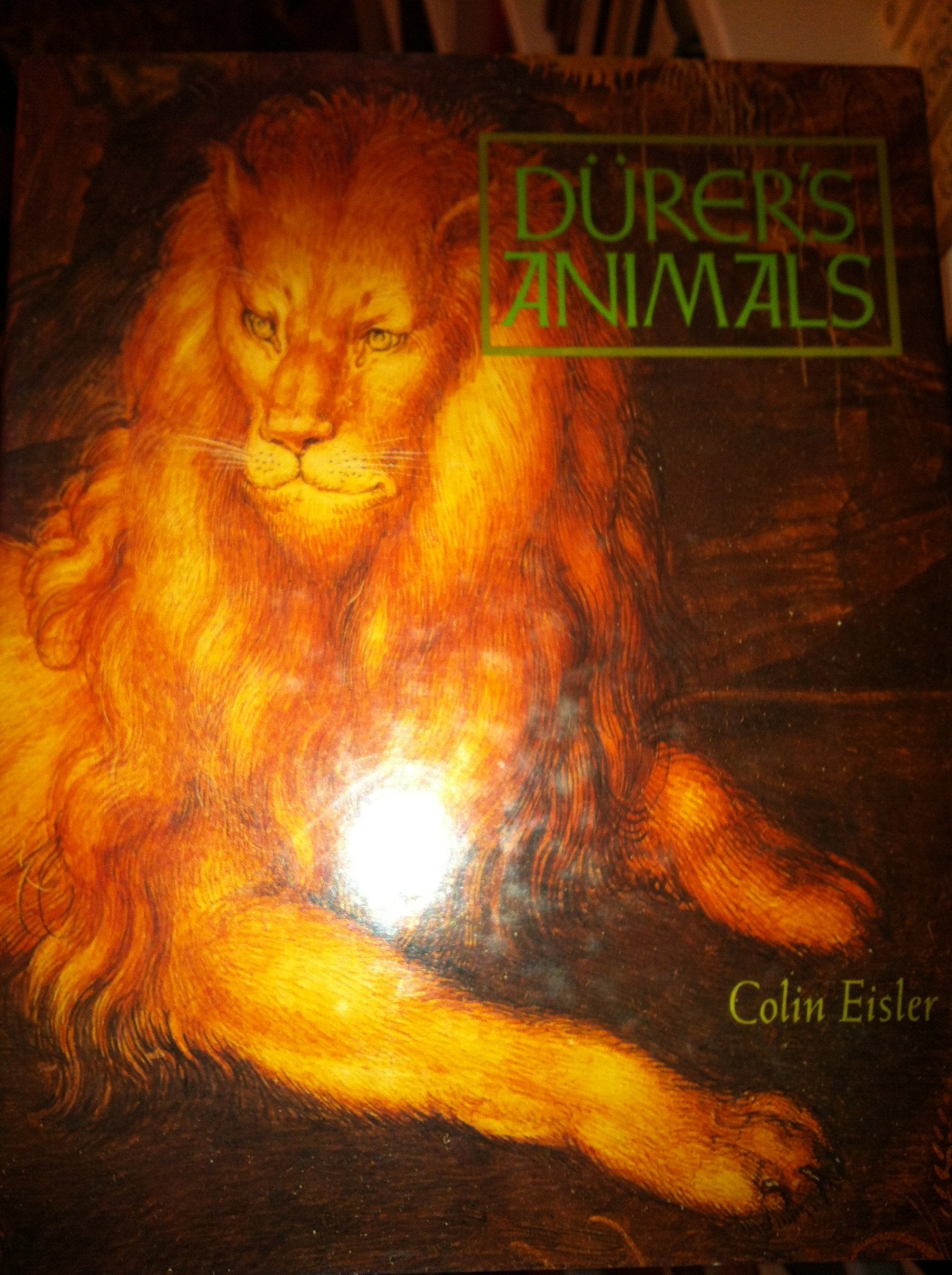 DURERS ANIMALS
