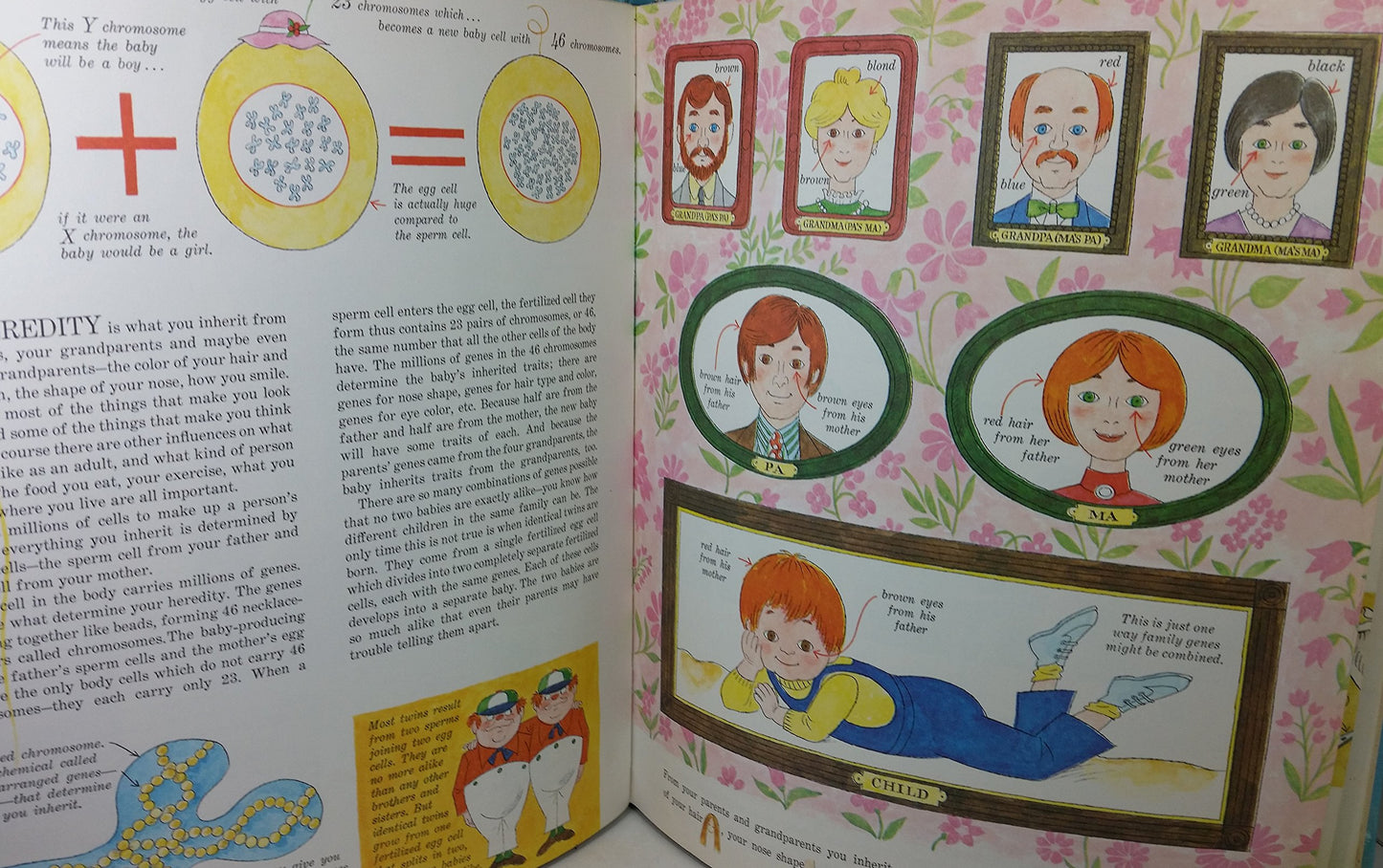 Joe Kaufmans How We are Born, How We Grow, How Our Bodies Work, and How We Learn