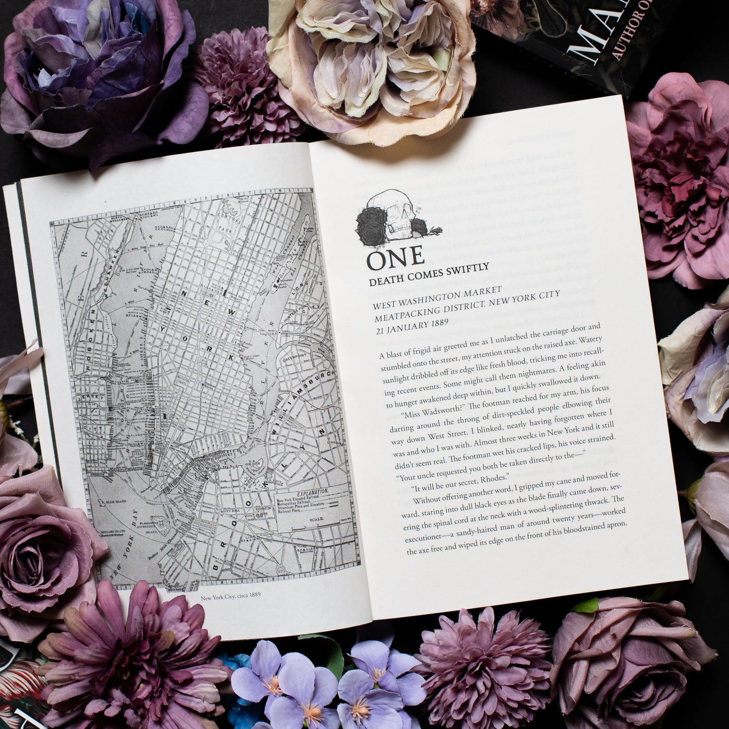 Capturing the Devil (Stalking Jack the Ripper, 4)