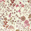 Wildflower Meadow Note Cards (Stationery, Boxed Cards)