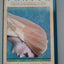 The Illuminated Prayer: The Five-Times Prayer of the Sufis