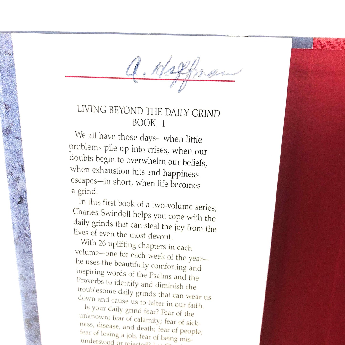Living Beyond the Daily Grind: Reflections on the Songs and Sayings in Scripture (Book I)
