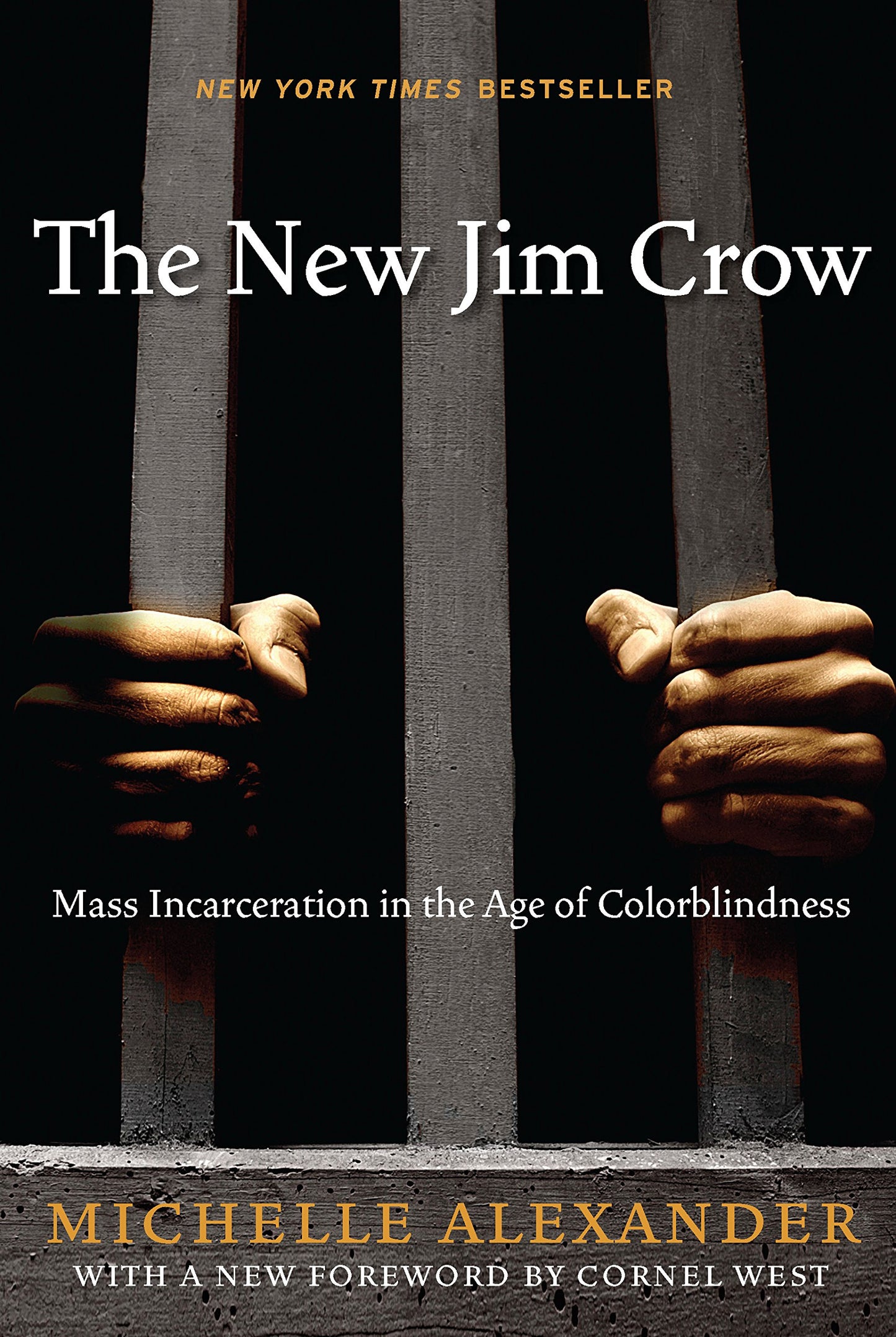 The New Jim Crow: Mass Incarceration in the Age of Colorblin