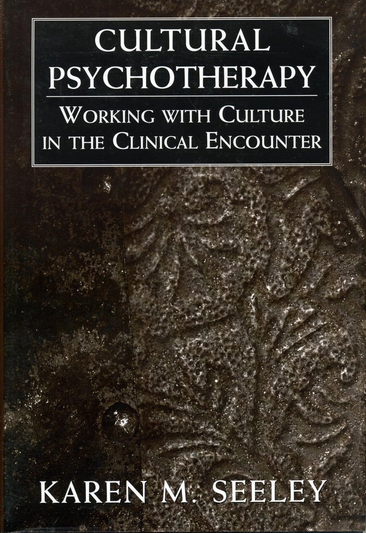 Cultural Psychotherapy: Working With Culture in the Clinical Encounter