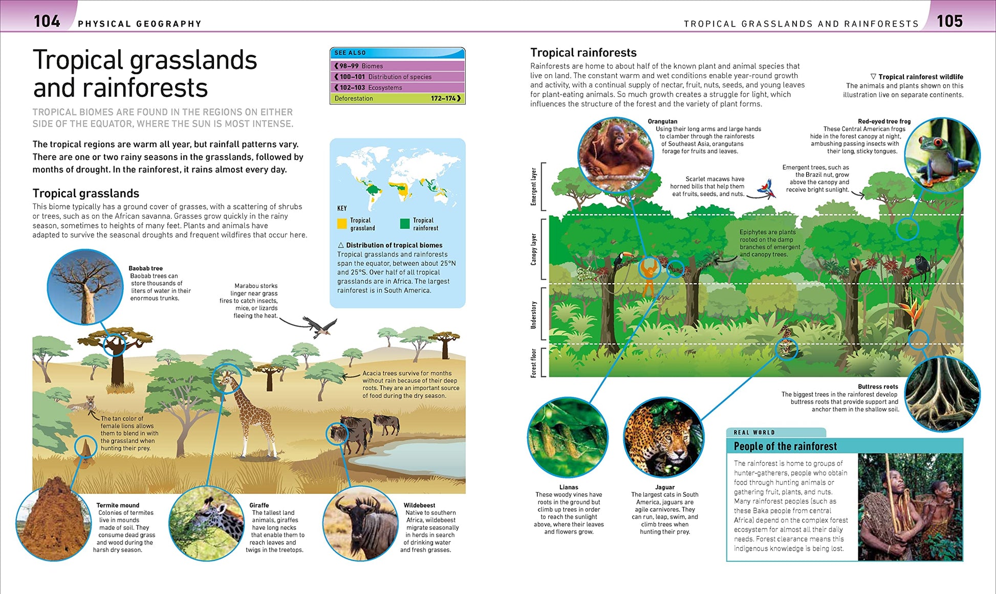 Help Your Kids with Geography: A Unique Step-by-Step Visual Guide