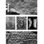 A Brief History of Earth: Four Billion Years in Eight Chapters