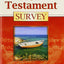 New Testament Survey