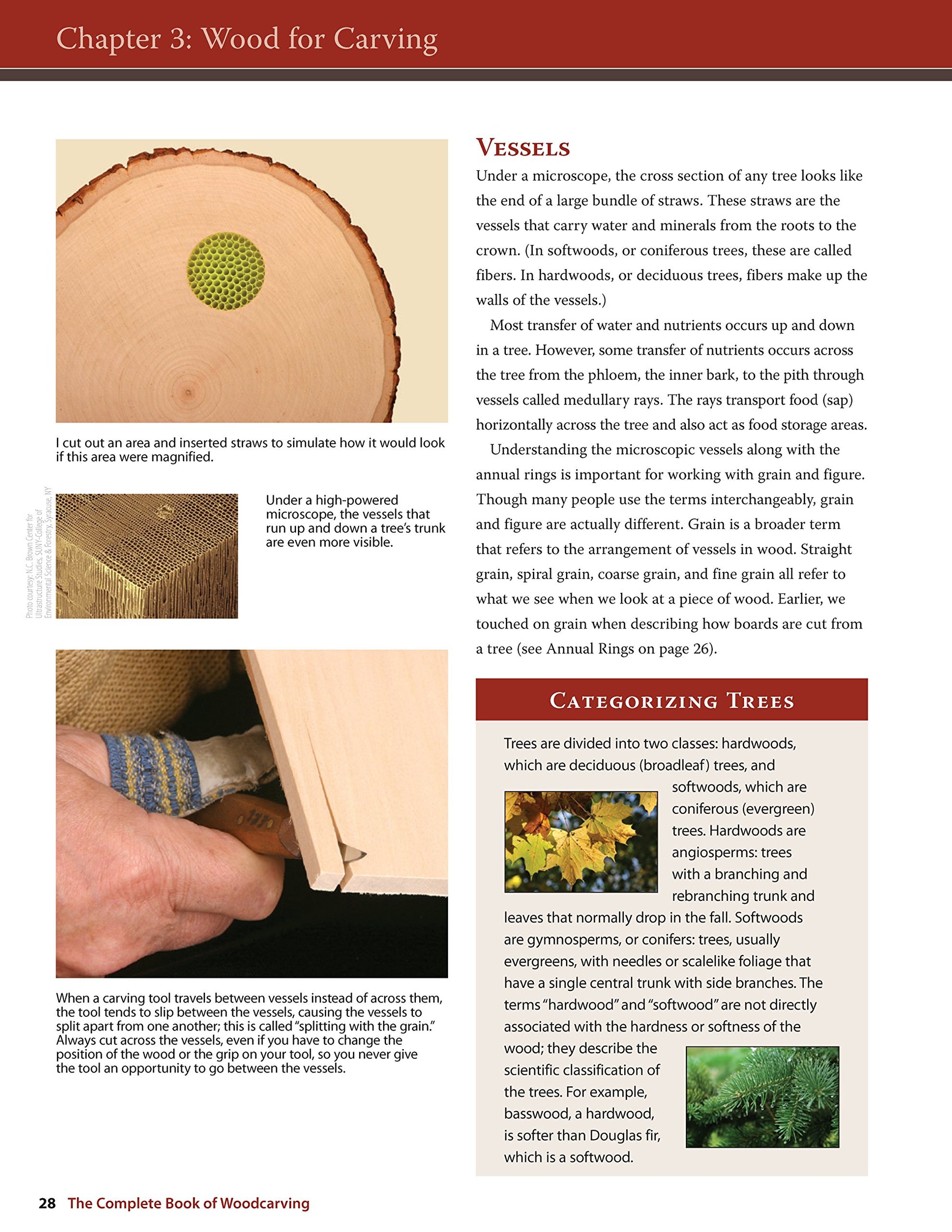 The Complete Book of Woodcarving: Everything You Need to Know to Master the Craft (Fox Chapel Publishing) Comprehensive Guide with Expert Instruction, 8 Beginner-Friendly Projects, and Over 350 Photos