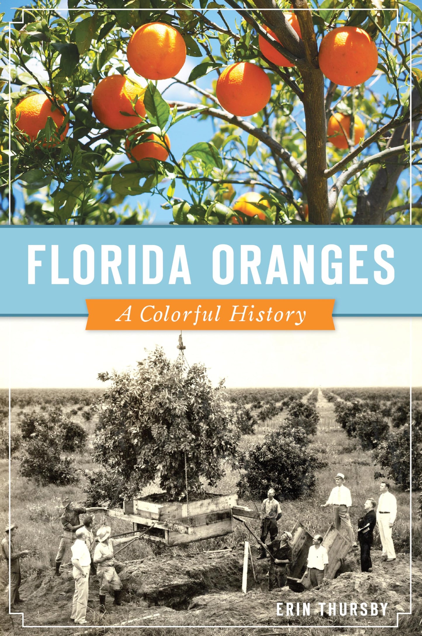 Florida Oranges: A Colorful History (American Palate)