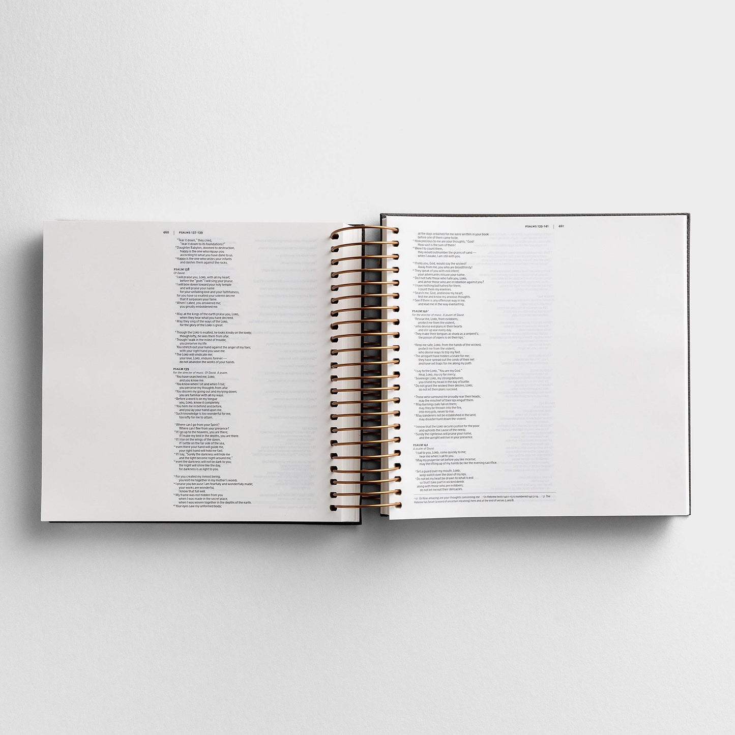 Illustrating Bible NIV Dark Grey (Spiral Bound), J3482 (8 Point Font)