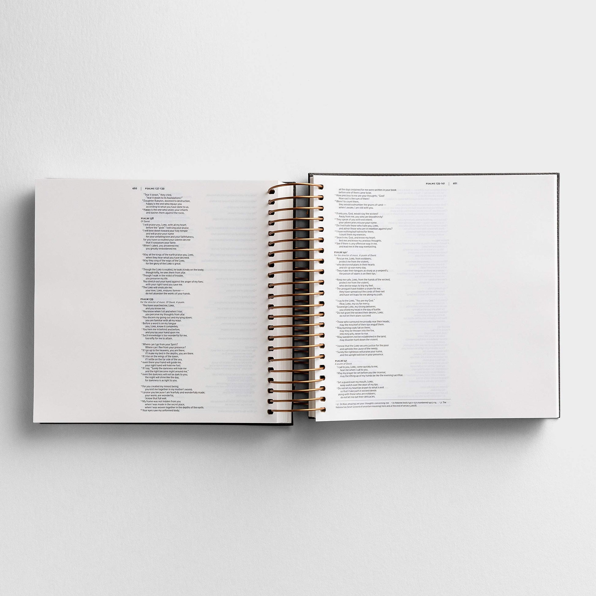Illustrating Bible NIV Dark Grey (Spiral Bound), J3482 (8 Point Font)
