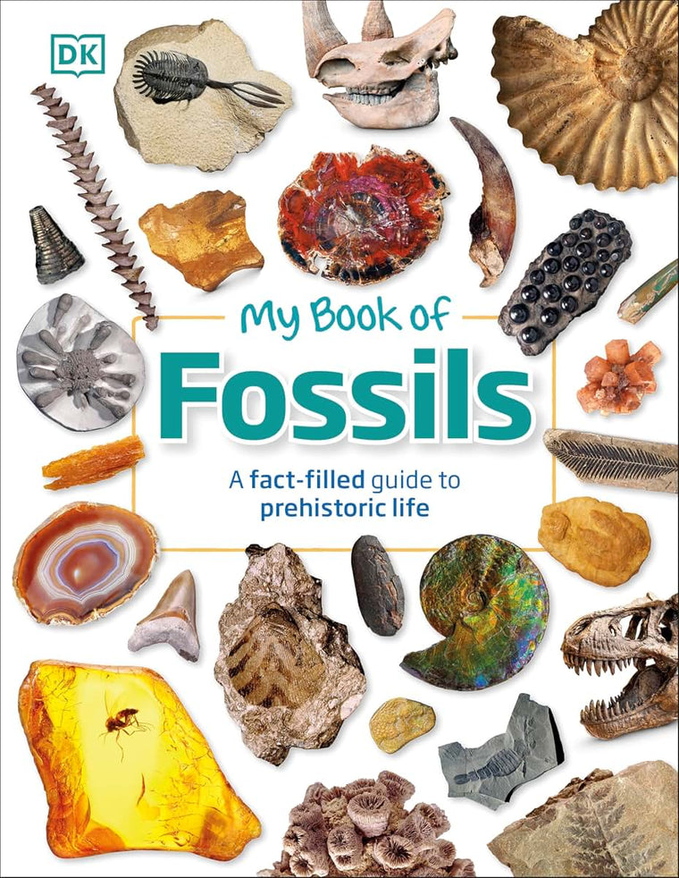 My Book of Fossils: A fact-filled guide to prehistoric life