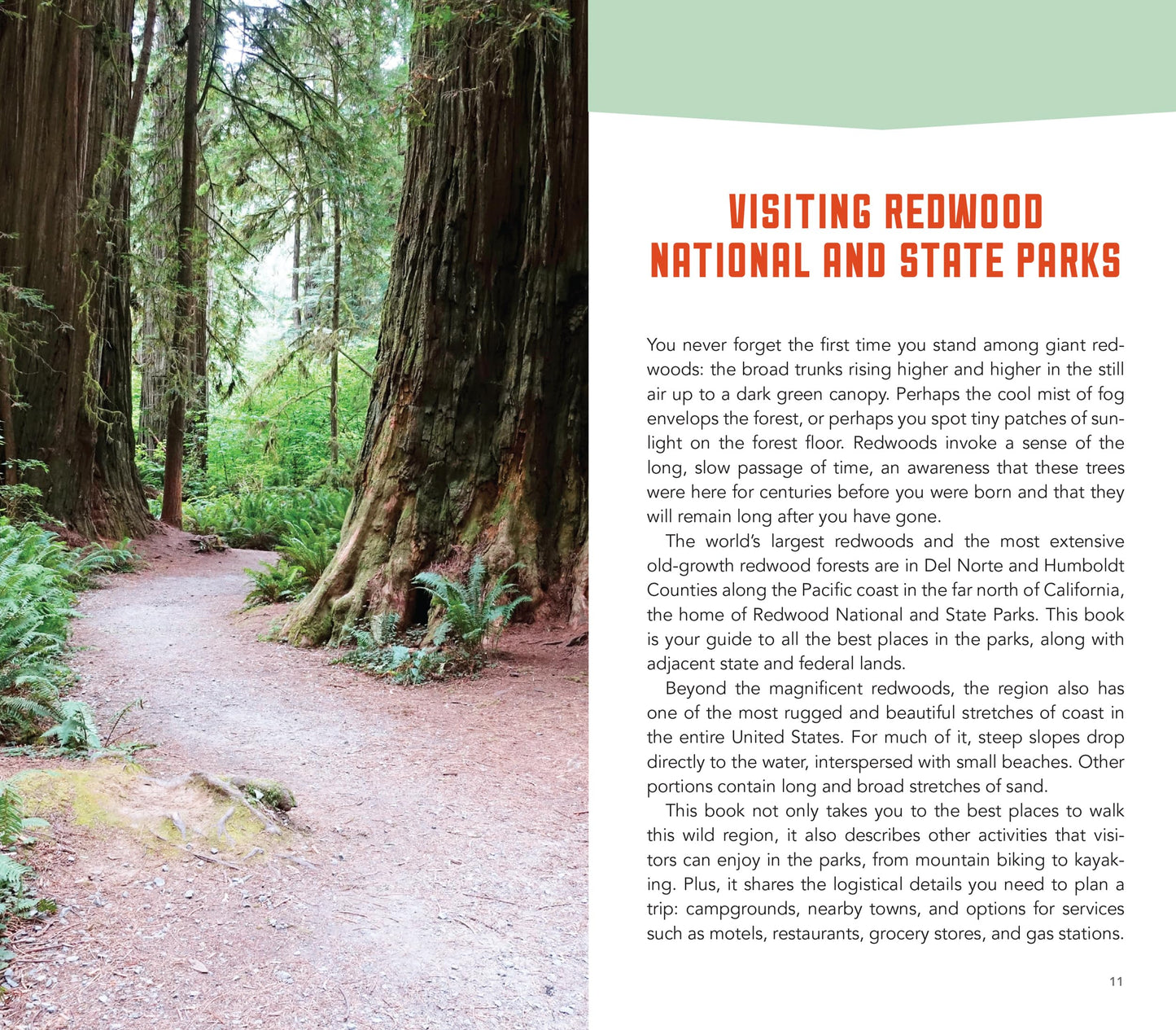Hike the Parks: Redwood National & State Parks: Best Day Hikes, Walks, and Sights (Hike the Parks Series)