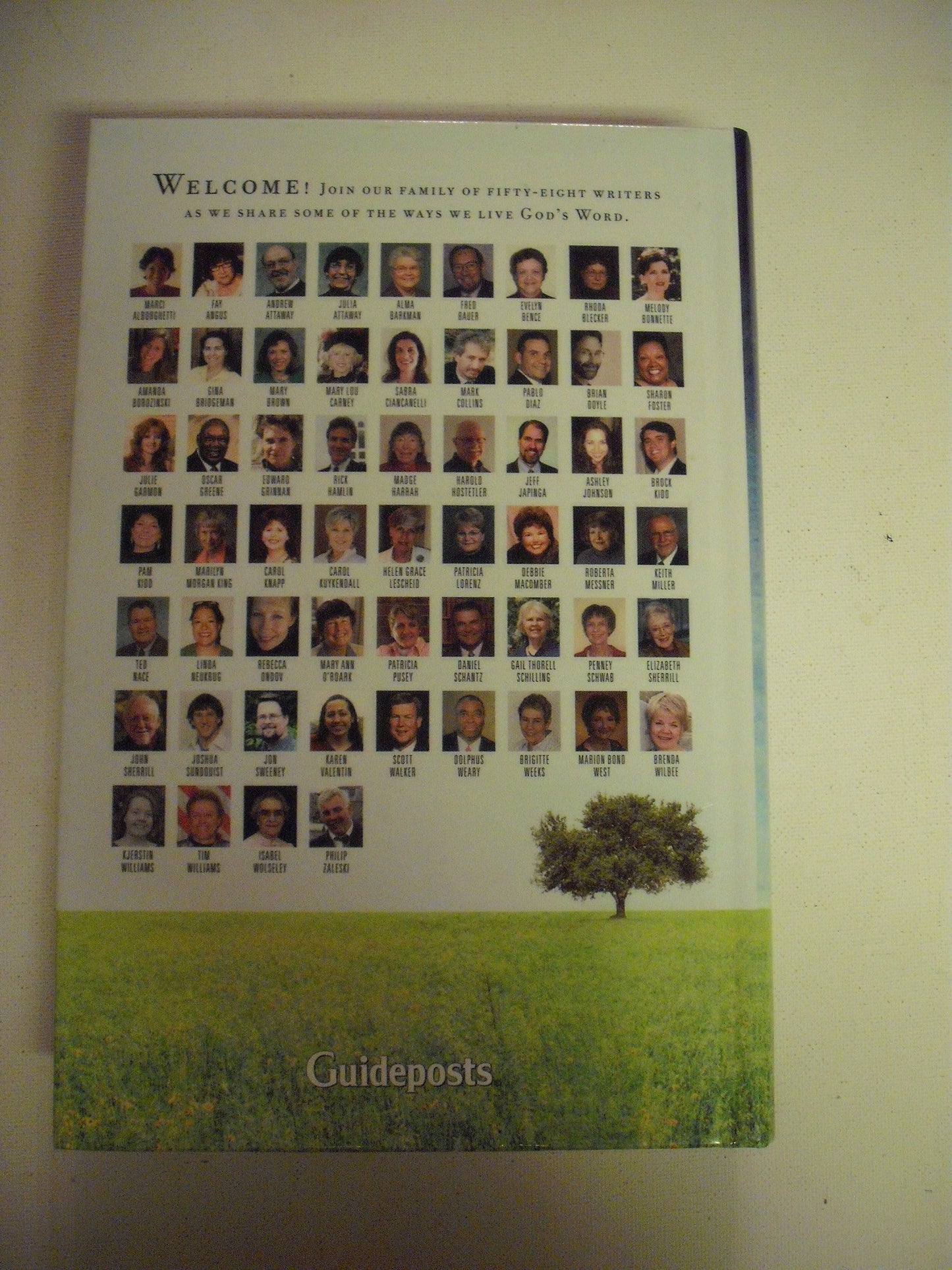 Daily Guideposts 2009: A Spirit-lifting Devotional