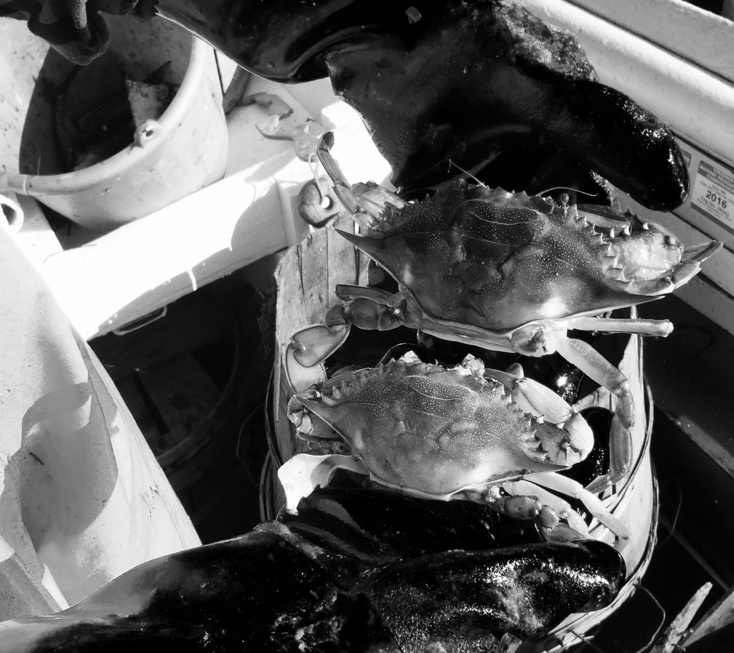Chesapeake Requiem: A Year with the Watermen of Vanishing Tangier Island