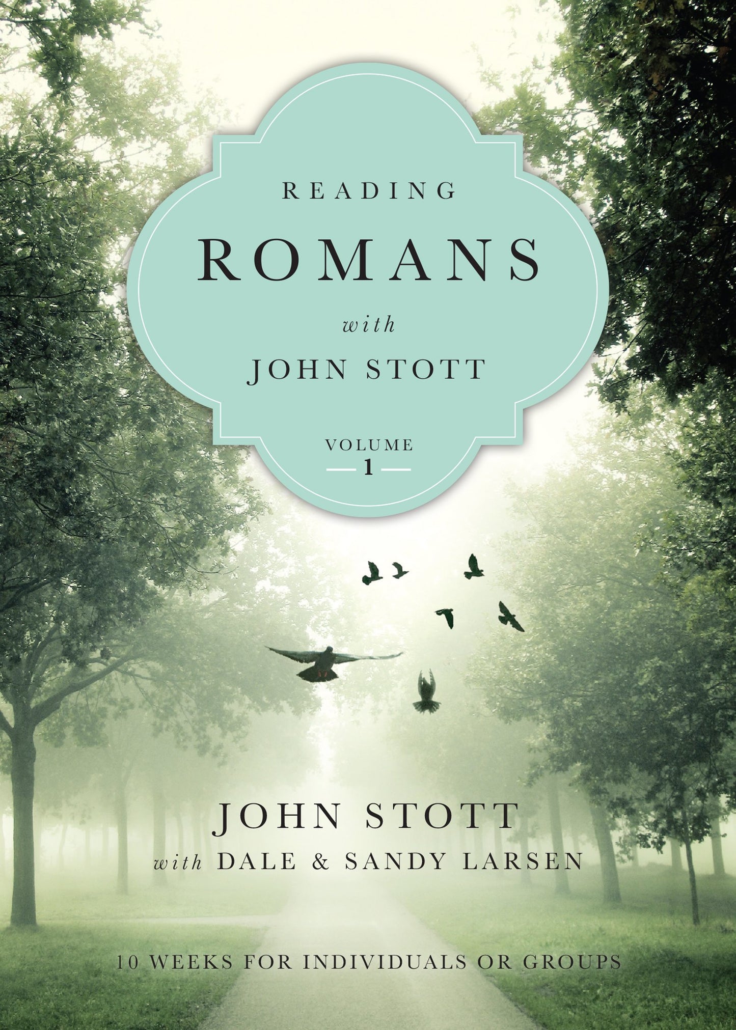 Reading Romans with John Stott: 10 Weeks for Individuals or Groups (Volume 1) (Reading the Bible with John Stott Series)