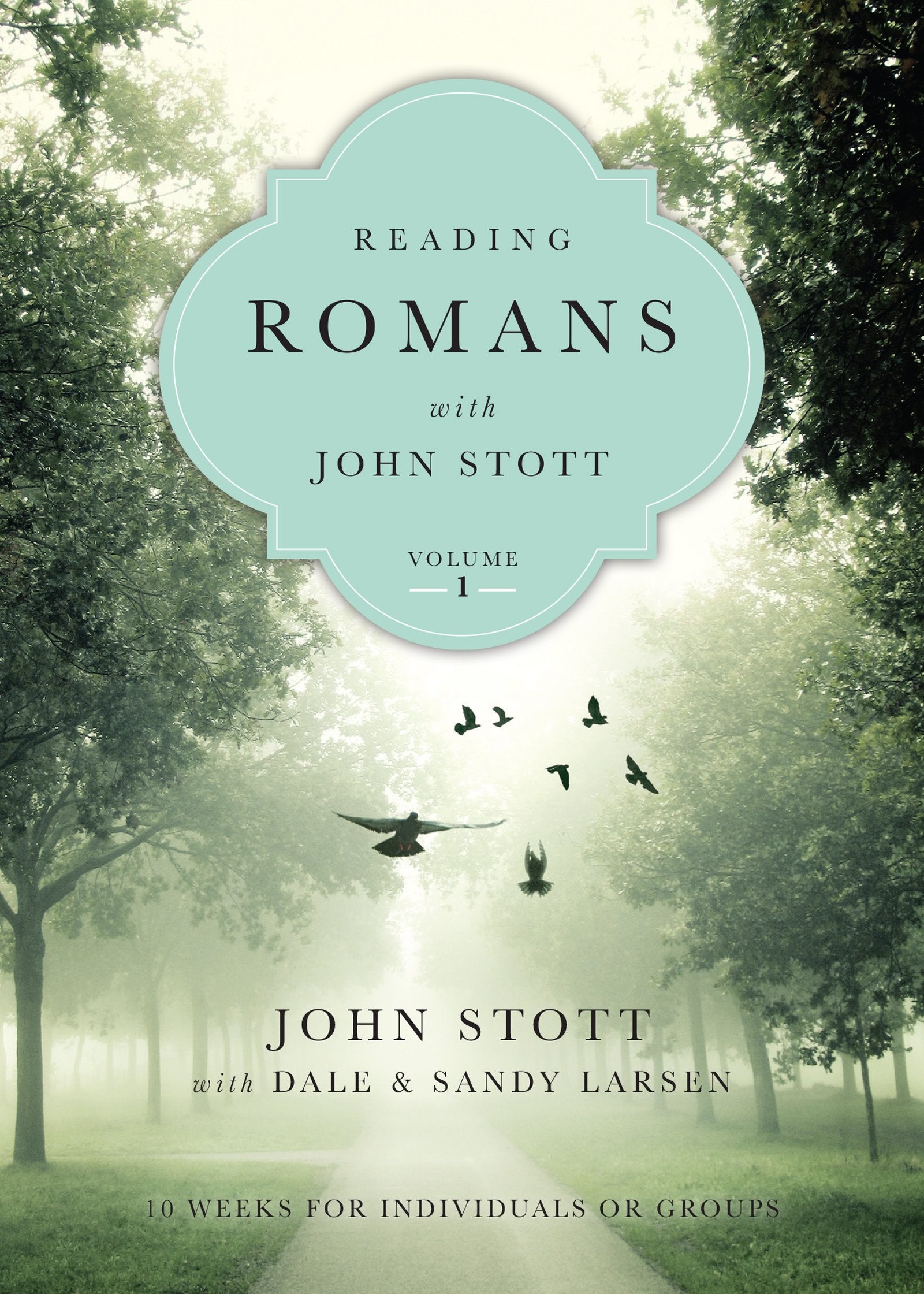 Reading Romans with John Stott: 10 Weeks for Individuals or Groups (Volume 1) (Reading the Bible with John Stott Series)