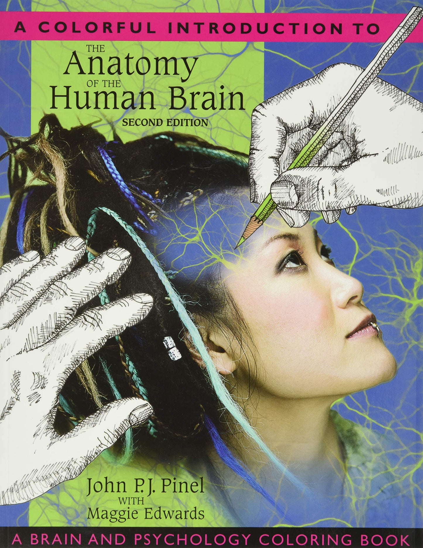 Colorful Introduction to the Anatomy of the Human Brain, A