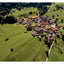 Friuli Food and Wine: Frasca Cooking from Northern Italy's Mountains, Vineyards, and Seaside