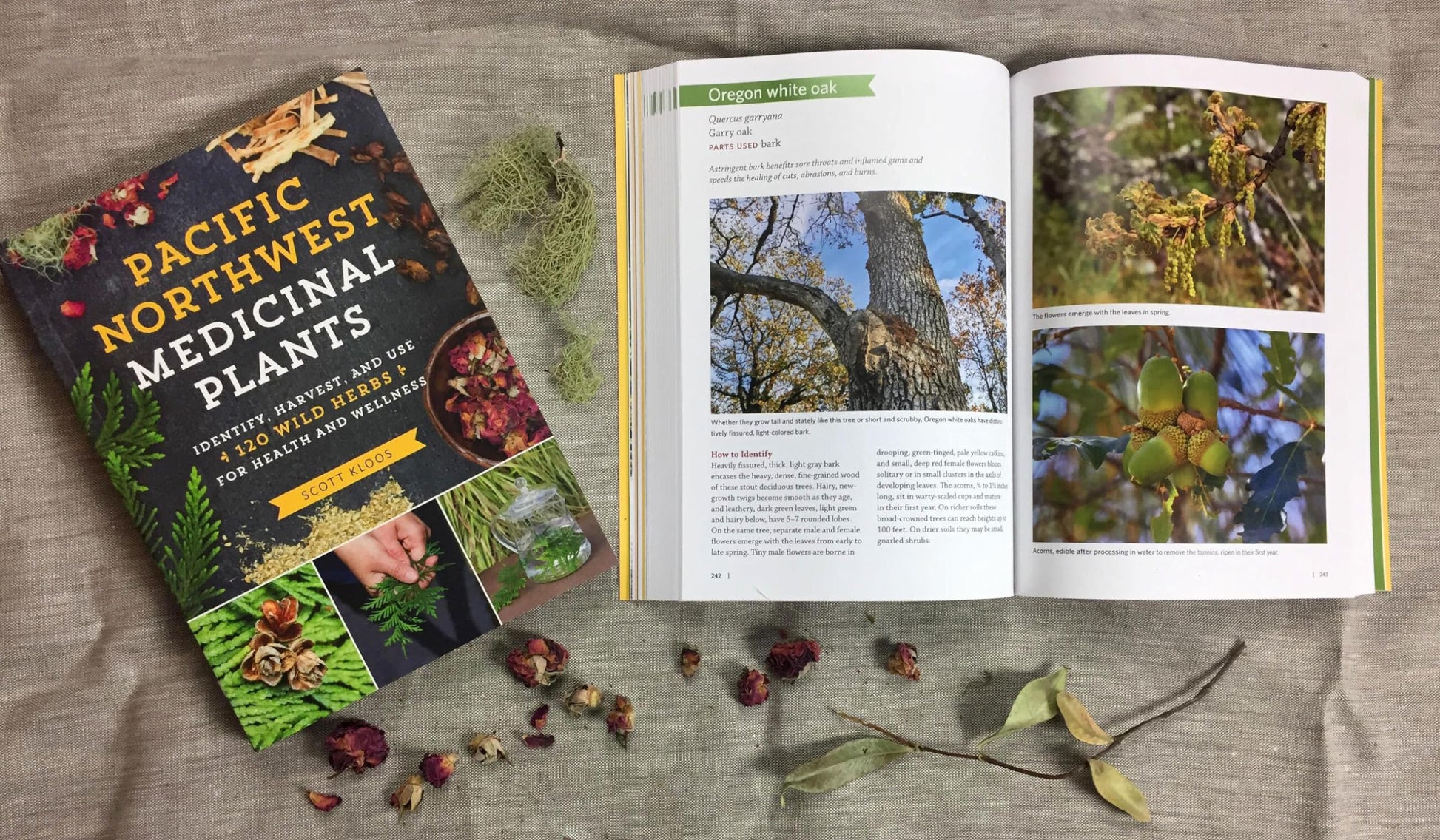 Pacific Northwest Medicinal Plants: Identify, Harvest, and Use 120 Wild Herbs for Health and Wellness (Medicinal Plants Series)
