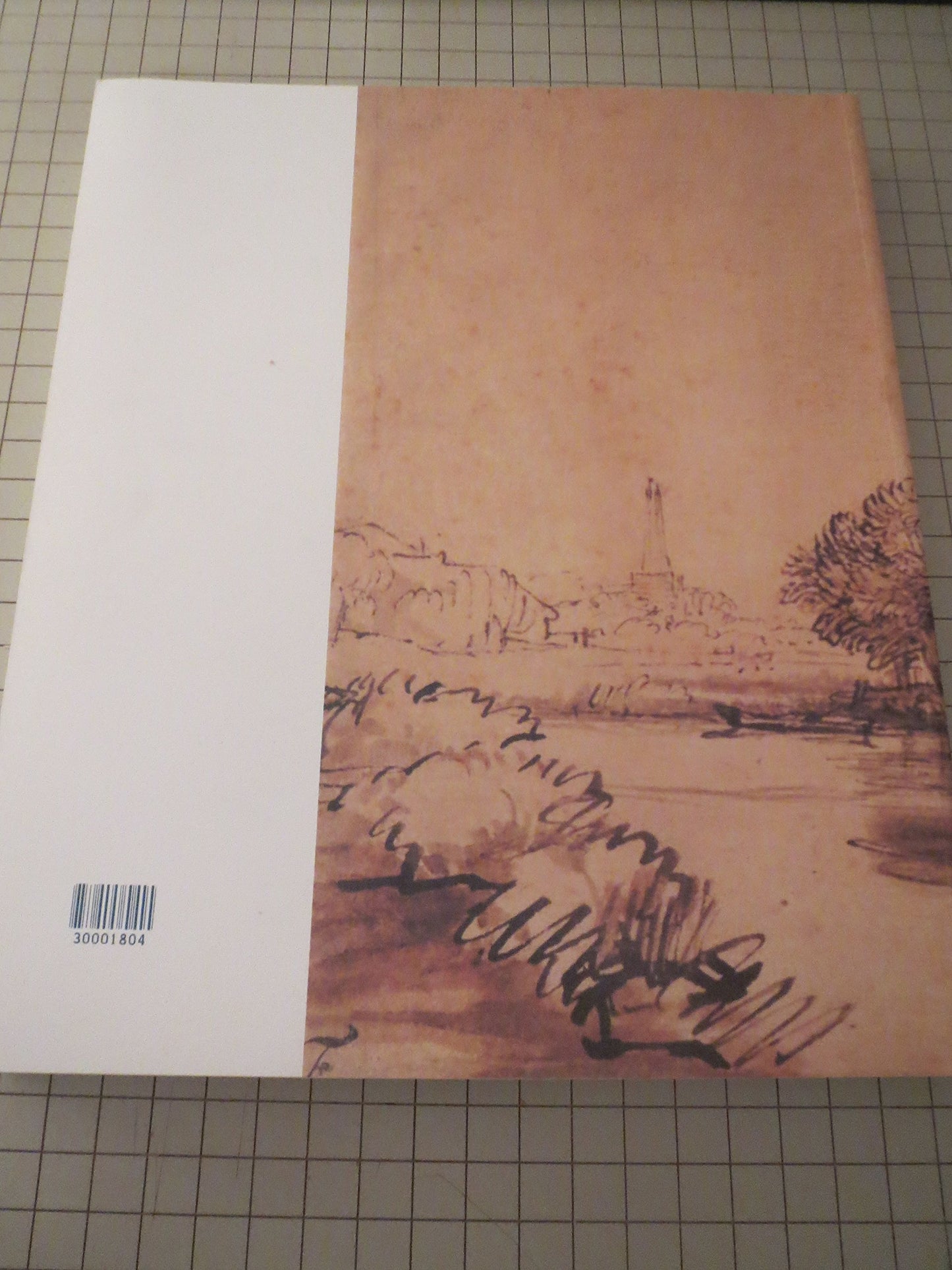 Rembrandts Landscapes: Drawings and Prints by Schneider, Cyn
