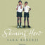 Shining Hero