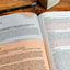 Biblia Reina Valera 1960 cronolgica, da por da. Smil piel, marrn / Day by Day Chronological Bible RVR 1960. LeatherTouch, Brown (Spanish Edition)
